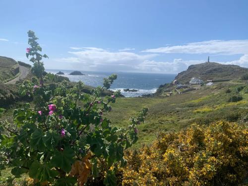 Cape View - image 3