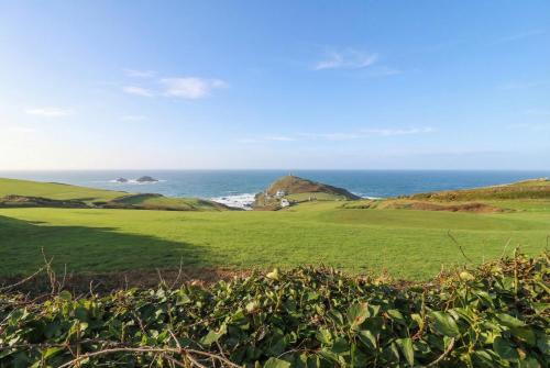 Cape View - image 5