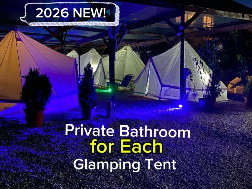 . Aurora Glamping