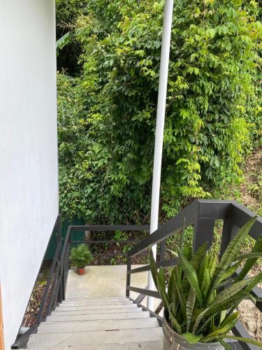 Casa Marisol in Quepos