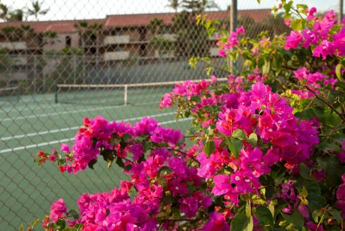 Maui Vista 1220, Kihei