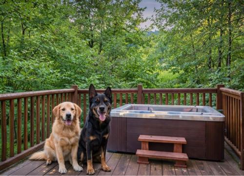 Mountain Magic Holiday home in Gatlinburg, USA