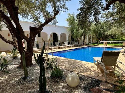 Dariana guesthouse - image 7