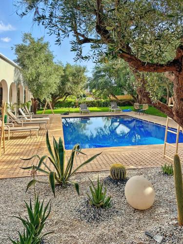 Dariana guesthouse - image 9