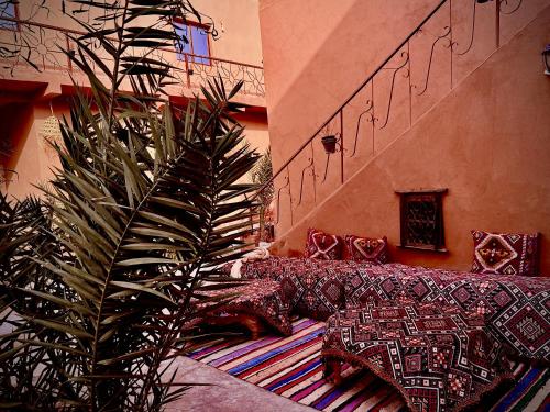 Skats, Dar Talmoudi ,Traditional Riad, Local Food, Camel , Desert Excursions in Tagounite