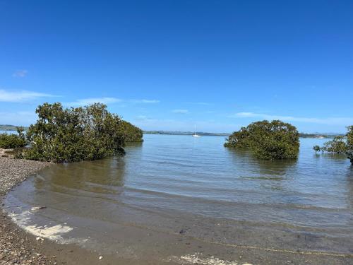 Apkārtne, Harbour-side Escape in Tamaterau
