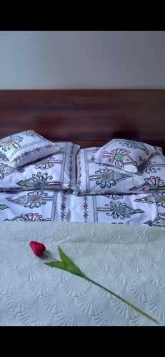 Podhale Agroturystyka u Mikolajki - Skawa