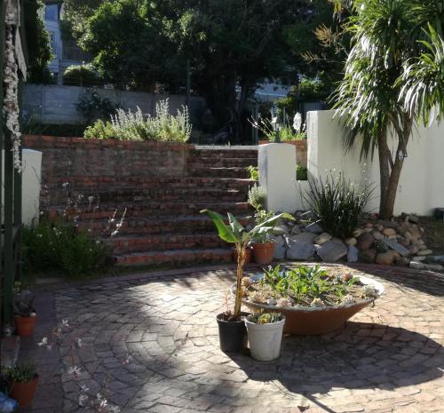 حديقة, House On Plein in Paarl