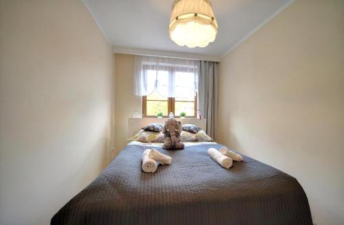 Large One-Bedroom Apartment image 10
