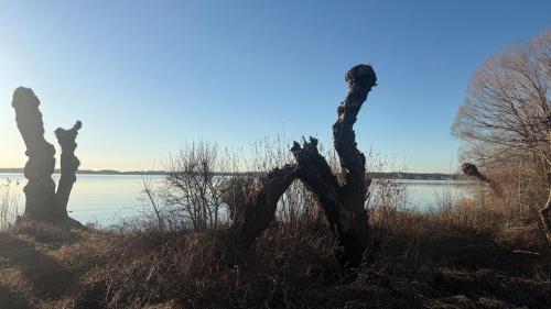 景觀, Apartment am Chiemsee nähe Chieming Arlaching Ising Seebruck (Apartment am Chiemsee nahe Chieming Arlaching Ising Seebruck) in 希明格