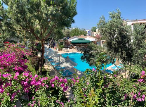Moonshine Hotel Suites — other in Moonshine Hotel & Suites 1, Bodrum City Turkey, 48400