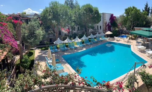 حديقة, فندق وأجنحة موون شاين (Moonshine Hotel & Suites) in تيبيك