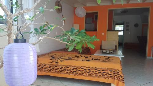 公共休息室/电视室, Location Marigot in 上岛