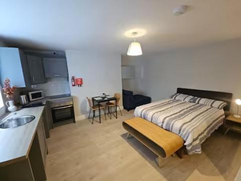 Drumcondra Studio Apartment, Dublin (fotografie 4)