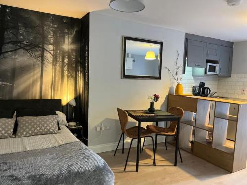 Drumcondra Studio Apartment, Dublin (fotografie 8)