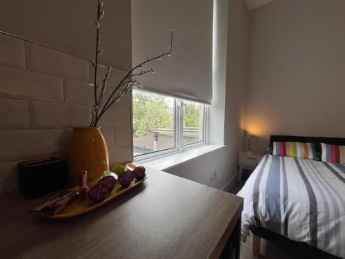 Drumcondra Studio Apartment, Dublin (fotografie 9)