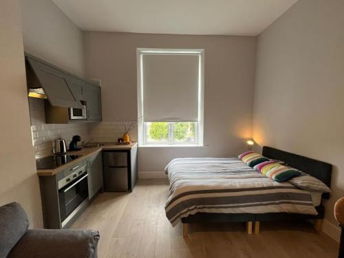 Drumcondra Studio Apartment, Dublin (fotografie 5)