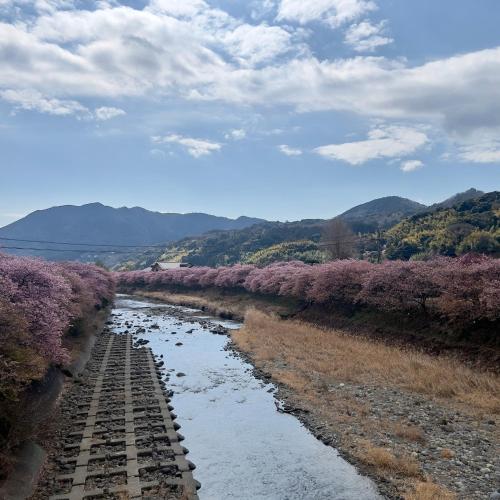 ハートリサイデェンス 河津, Kawazu (zdjęcie 6)