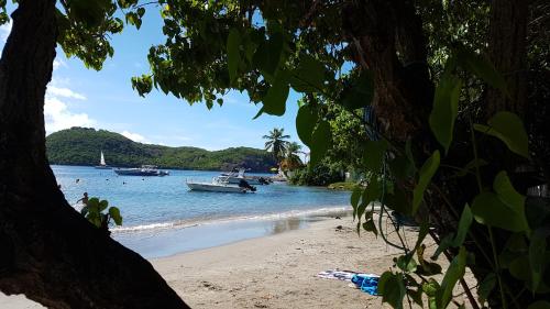 设施服务, Location Marigot in 上岛
