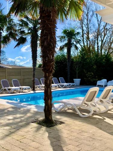 De Heerlijkheid van Noordwelle Adults Only 3