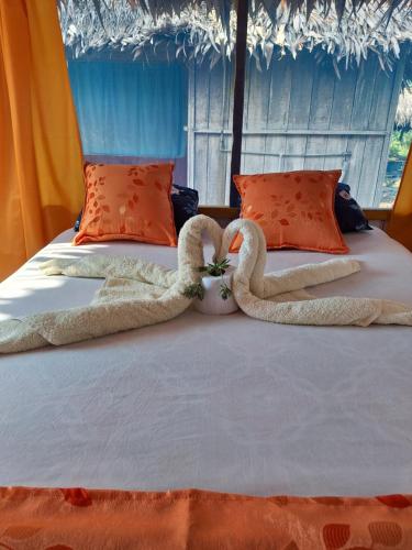 Palo Verde Lodge & wild life tours in 印地安那