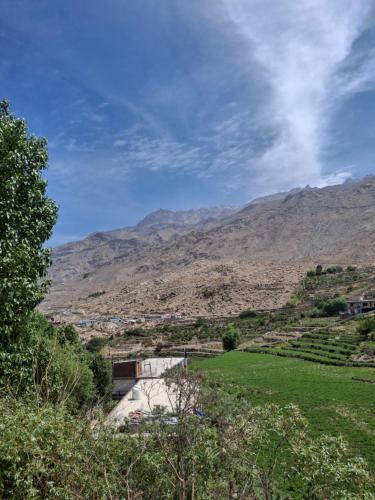 Alpinehomestay in Nako