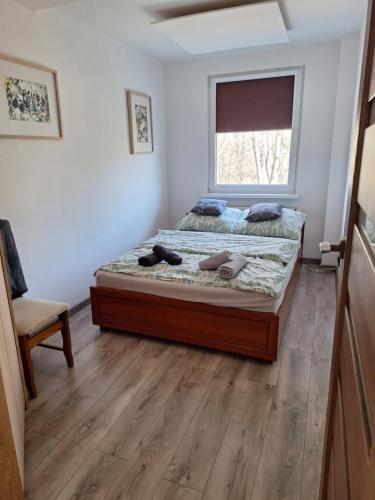 Mala dziupla - Opole