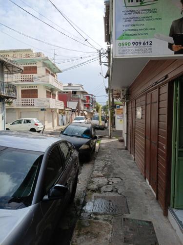 Séjour d’affaires ou de loisirs à Pointe à Pitre (Sejour d’affaires ou de loisirs a Pointe a Pitre) in Baimbridge