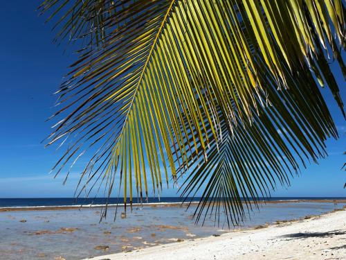Pension Tipapa in Atolul Tikehau