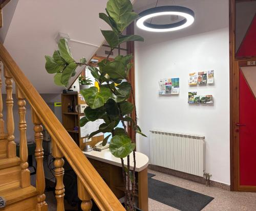 Fuajee, Guest house Royal in Cakovec