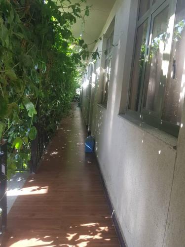 PALM PALACE Best BUDGET HOTEL & TOUR Options s in Bahir Dar