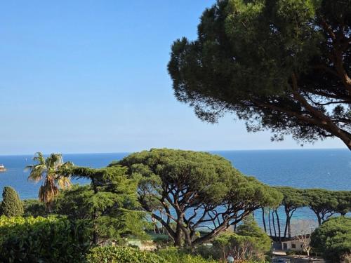Appartement 2 Pièces Climatisé, Vue Mer, Sainte-Maxime - FR-1-780-97