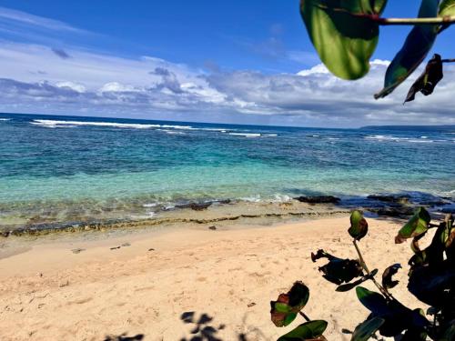 Coral Wave Cottage in Mokuleia (HI)