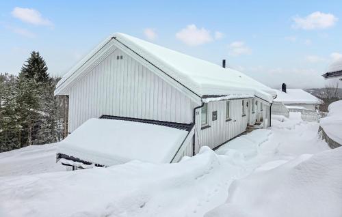 . 3 Bedroom Awesome Apartment In Vinje