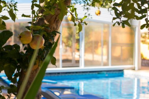  Barrocal, Unterkunft in Loulé