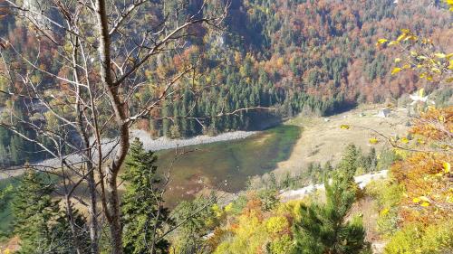 Žabljak City Center Apartments - image 7