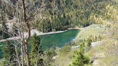 Žabljak City Center Apartments - image 2