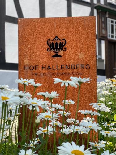 Hof Hallenberg in Hallenberg, Deutschland