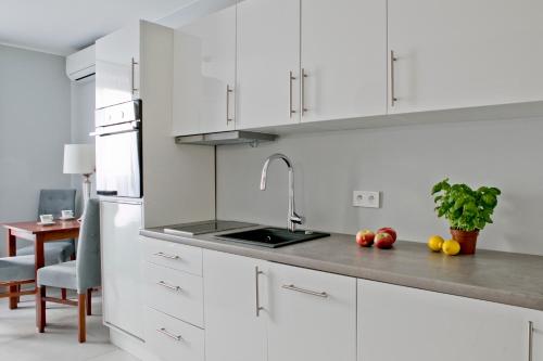 Elegant City Center Apartment 7B, Cracovie (photo 4)
