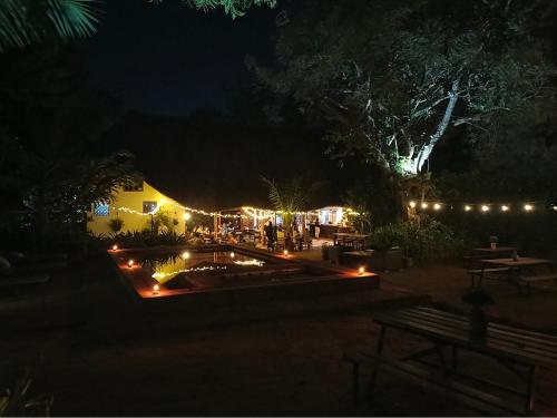 30 Wilson, Jinja