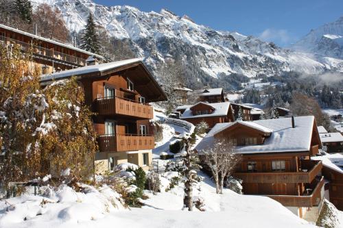 Chalet Gerbera - image 3
