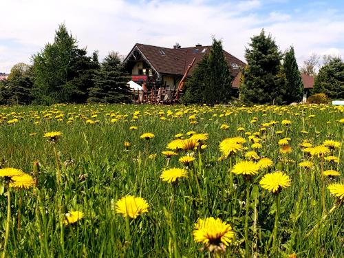 Tajemniczy Ogrod Szczytna - Bed & Breakfast - Walbrzych