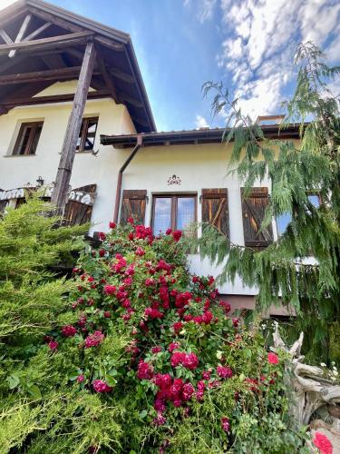 Viesnīcas āriene, MAZURSKI SPLOT pokoje in Zelwagi