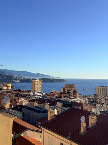Monaco Monte-Carlo sea view!