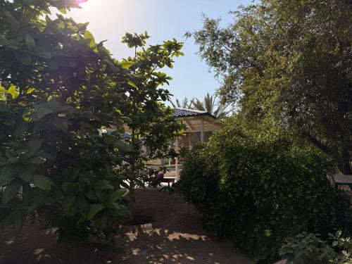 ALSARA HiDEAWAY in Hatta