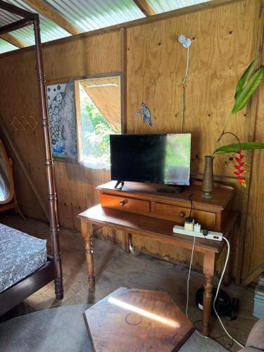 Rasta Rustic Off Grid Cabin in Corinth