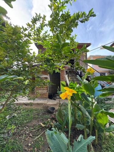 Dārzs, Rasta Rustic Off Grid Cabin in Corinth