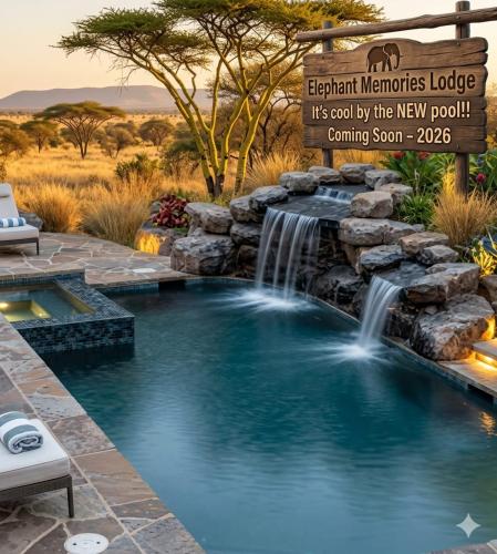 Elephant Memories - Marloth Park