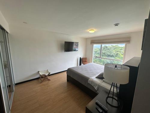 Charming Two Bedroom with balcony - image 4