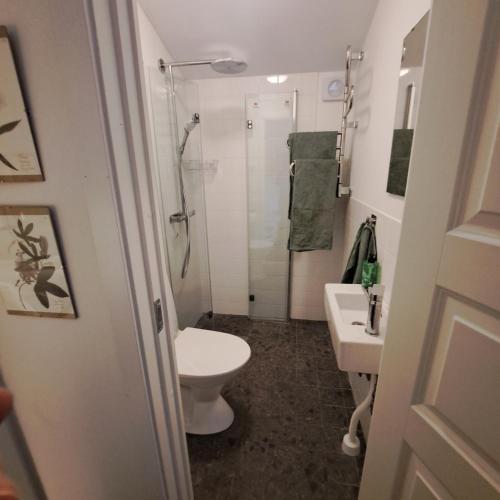 화장실, Cute gardenhouse close to Stockholm City in 솔나